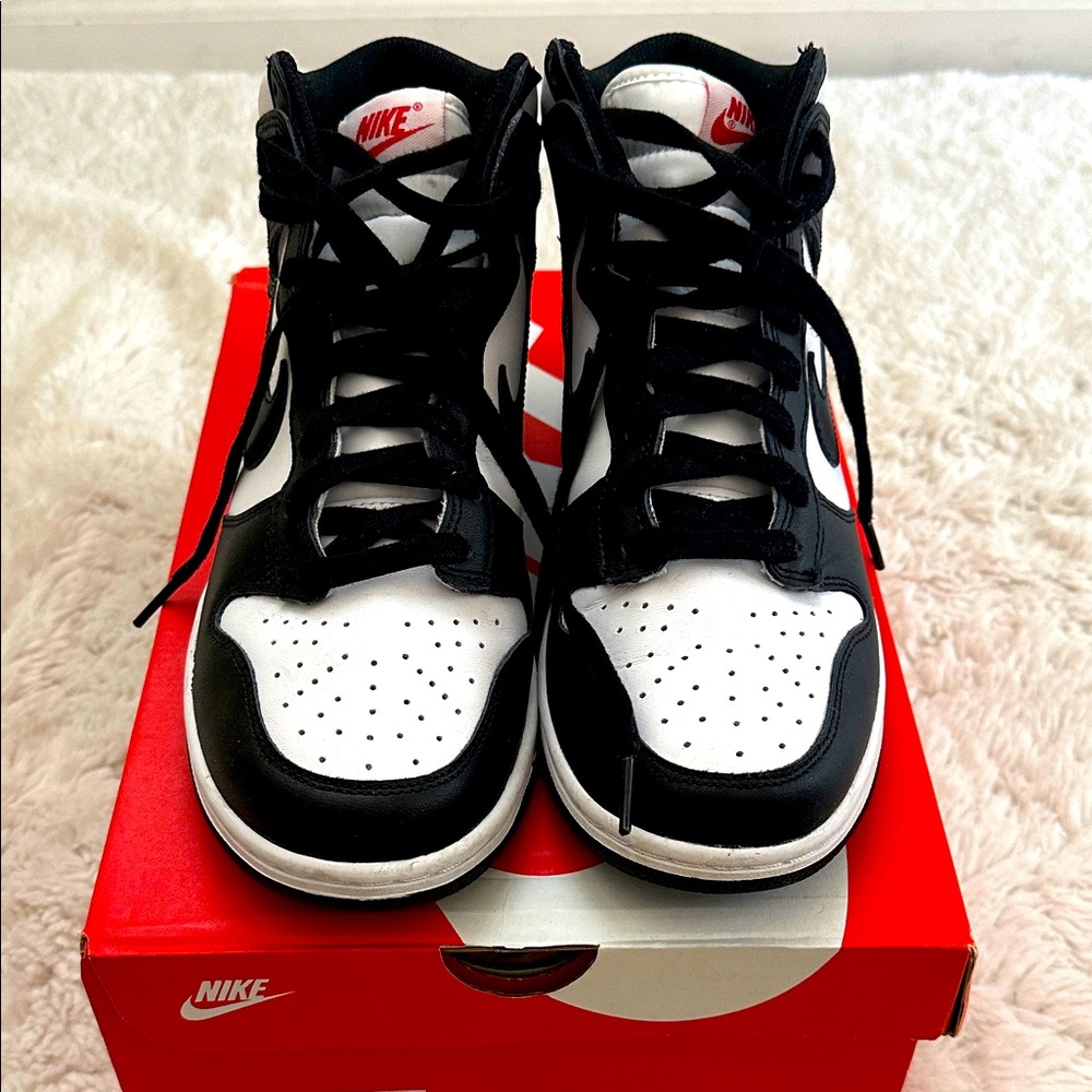 Nike Black and White Dunk High
